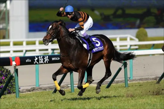 競馬のクオカード・テレカ買取専門店 HORSE BUYERS | 日本唯一の競馬